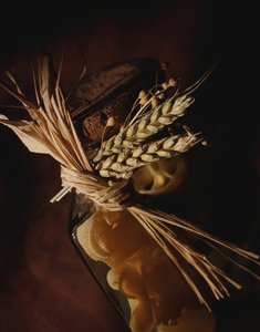 神经网络